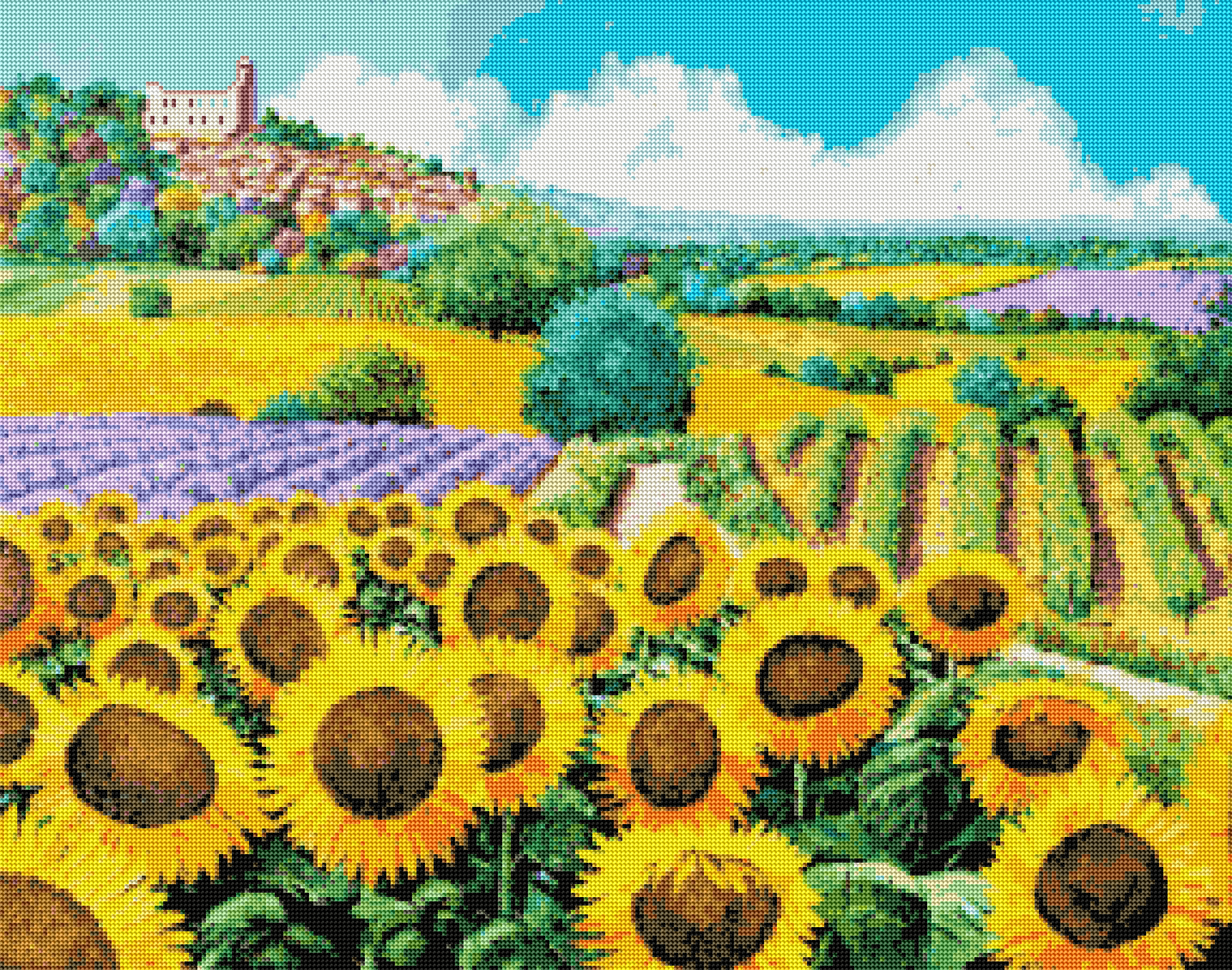 Vineyards and Sunflowers Oraloa.
